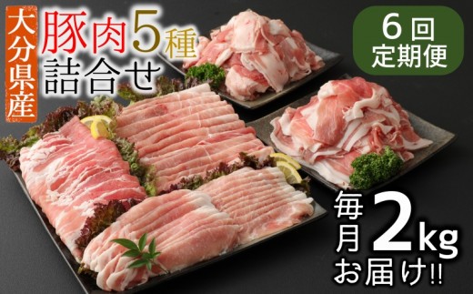 【6ヶ月定期便：2026年10月配送開始】小分けで便利♪大分県産 豚5種詰め合わせ（約2kg×6回）