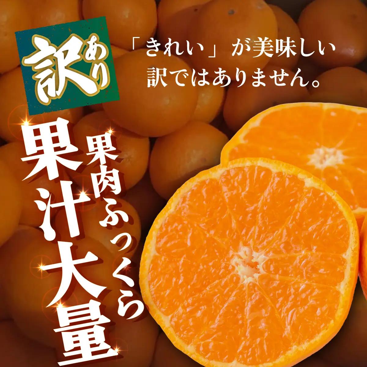 ＜【訳あり】愛媛県産 大玉みかん 約5kg＞『2026年11月上旬～1月下旬迄順次発送予定』わけあり 訳アリ 大きい おおだま みかん 蜜柑 果物 くだもの フルーツ ミカン 果汁 国産 特産品 株式