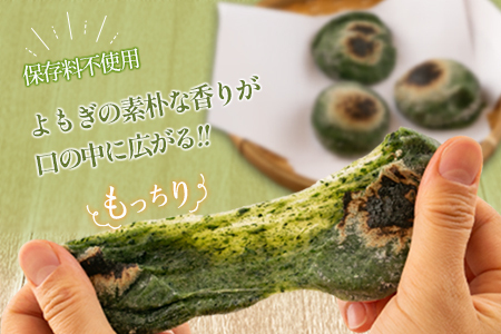 餅 おもち 20個 生餅＆よもぎ生餅セット へんぽこ茶屋 つきたて冷凍_HE057_004