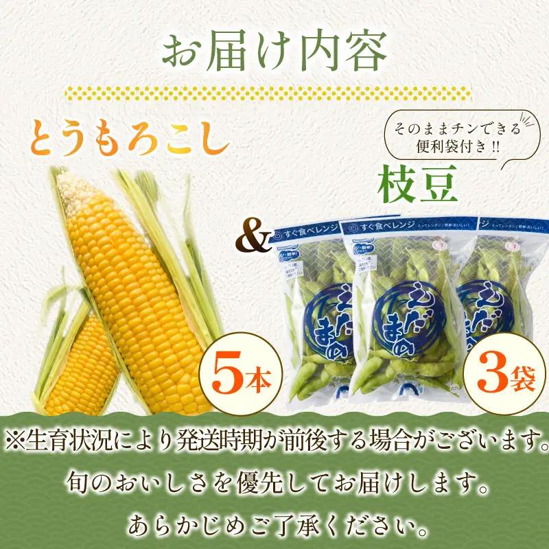 【6月順次発送 とうもろこし5本 枝豆3袋 セット】 夏の黄金コンビ！ 朝採り とうもろこし 枝豆  セット 旬 濃厚 丸新柴本製茶 静岡 県 牧之原市