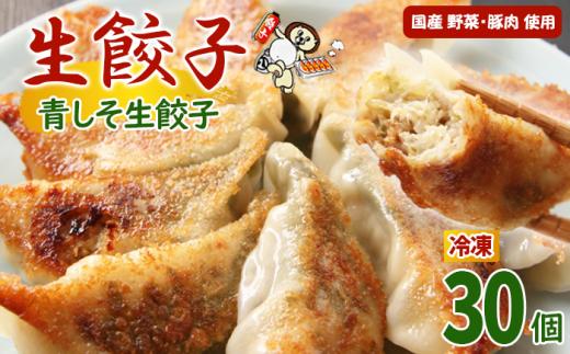 冷凍餃子 青しそ生餃子 30個入【生餃子専門店】/ 餃子 ギョーザ 惣菜 おかず