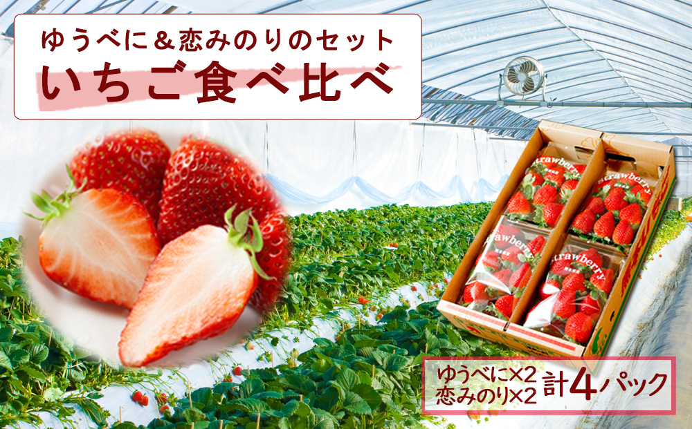 【選べる内容量】いちご 食べ比べセット ゆうべに・恋みのり 各2パック 計4パック 高藤農園 美味しい 人気 あまい 甘い イチゴ 詰め合わせ フルーツ 旬 果実 クリスマス お歳暮 御中元 ギフト おやつ ふるさと納税 熊本 阿蘇