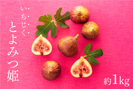 A1361.九州・福岡フルーツ王国より直送.いちじく（とよみつ姫）約1kg／2026年8月～9月配送【とよみつひめ】
