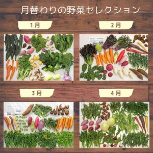 【3ヵ月定期便】旬の野菜詰め合わせ 7～8種 | 野菜セット 詰め合わせ 定期便