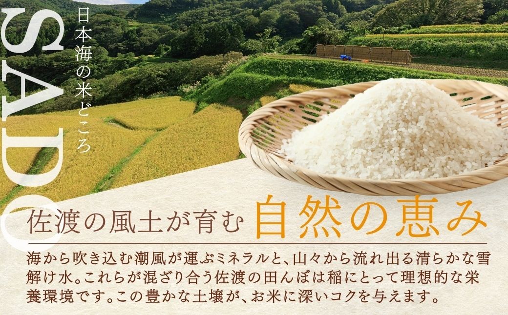 肥料も農薬も使わない、稲の力だけで実らせたササニシキ