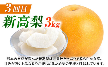 【先行予約】【3回定期便】 梨 約3kg 計約9kg（豊水・秋月・新高）  梨 ナシ フルーツ 果物 【日本フルーツ株式会社】[ZFJ070]