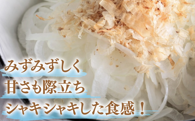 【先行予約】泉州たまねぎ 3.5kg【超極早生 玉ねぎ 農家直送 新鮮 野菜 やさい 期間限定】 G1445
