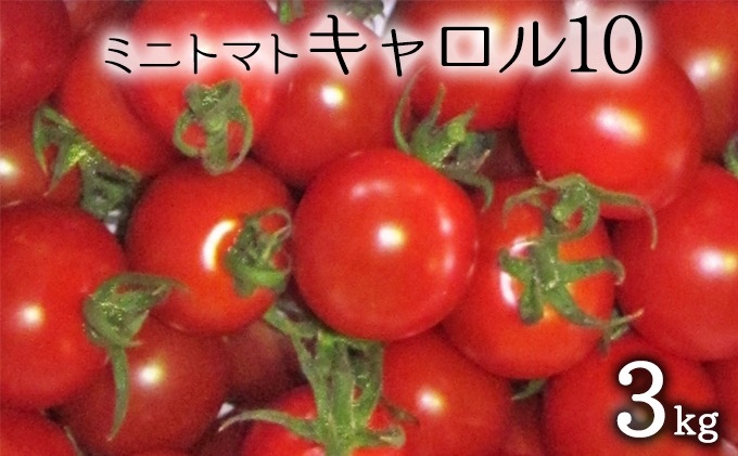 [先行受付] 北海道 仁木町産 ミニトマト 3kg （品種： キャロル10） 野菜 野菜類 とまと トマト[松山商店]