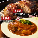 【ふるさと納税】常陸牛ビーフシチュー　(180g×2)＆　常陸牛100％煮込みハンバーグ　(200g×2)セット【ひたちぎゅう セット パーティー シェフ監修 グルメ】(AA119)