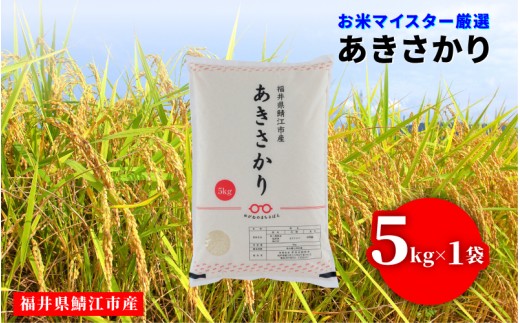令和7年産 あきさかり 5kg（5kg × 1袋）×1回 [B-02036]/ お取り寄せ お米 精米 白米 小分け 便利 弁当 ごはん ご飯 コメ おにぎり ブランド 米 初回 送料無料 常温 配送 新生活 応援