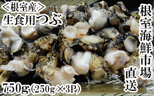 A-11120 【北海道根室産】生食用灯台つぶ250g×3P(計750g)