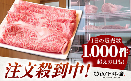 【全3回定期便】佐賀牛 A5 リブローススライス 500g（しゃぶしゃぶ用） HAD084 佐賀牛