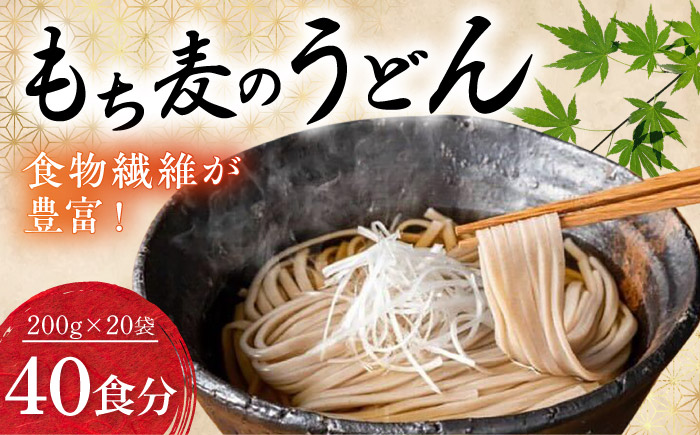うどん もち麦のうどん(200g×20袋)40食分 / うどん 愛媛県産 もち麦 練り込み 常温 長期保存可 詰合せ 食物繊維 もちもち 食感 冷うどん 温うどん / 愛媛県砥部町/五色そうめん株式会