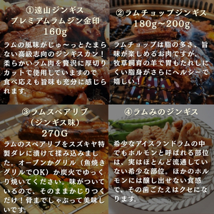 ラム 肉 グリル セット | ジビエ 肉 ジンギス 羊 ラム 味付 長野県 飯田市 信州
