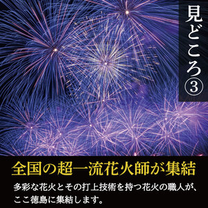チケット 花火大会 6人 テーブル席 観覧席  にし阿波 花火 観覧 （チケット チケット チケット チケット チケット）
