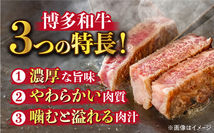 【全3回定期便】【溢れる肉汁と濃厚な旨味】博多和牛サーロインステーキセット 500g(250g×2枚)《築上町》【株式会社MEAT PLUS】 [ABBP030] 54000円 54000円