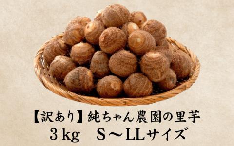 【先行予約】【訳あり】越前大野産 「純ちゃん農園の里芋3kg」サイズS～LL寸【10月中旬より順次発送】