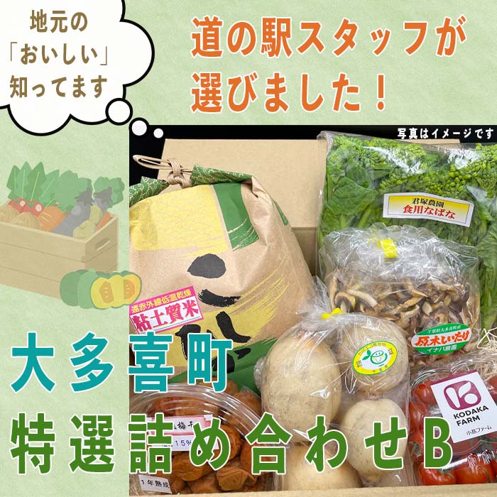 【ふるさと納税】道の駅　詰め合わせ 道の駅たけゆらの里おおたき特選詰め合わせB T02031