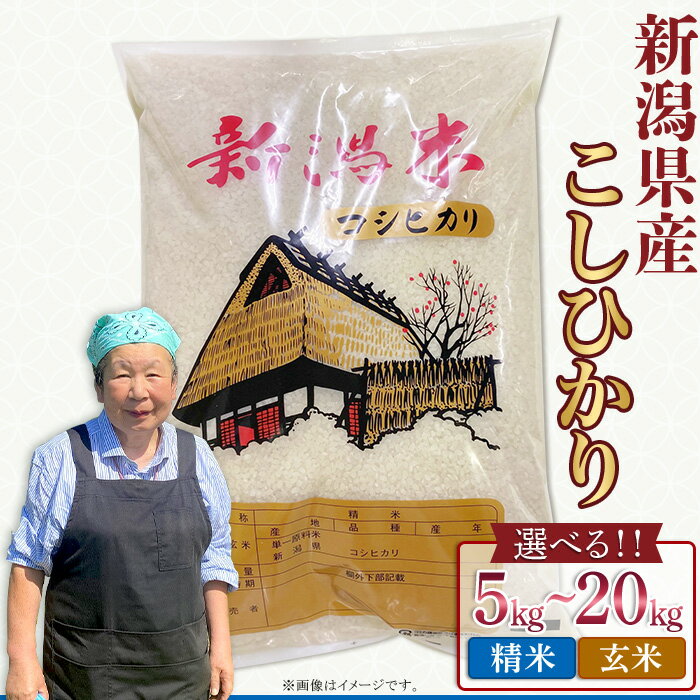 【ふるさと納税】令和7年産 米 新潟県産 コシヒカリ 特別栽培 選べる 精米 玄米 5kg 10kg 20kg 白米 お米 新潟こしひかり【近藤農園】