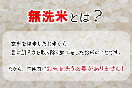 【令和6年産・新米】【6ヶ月連続お届け】福井県産 低農薬極上米 無洗米 5kg × 6回 計30kg 『ハナエチゼン』[J-8806_02]