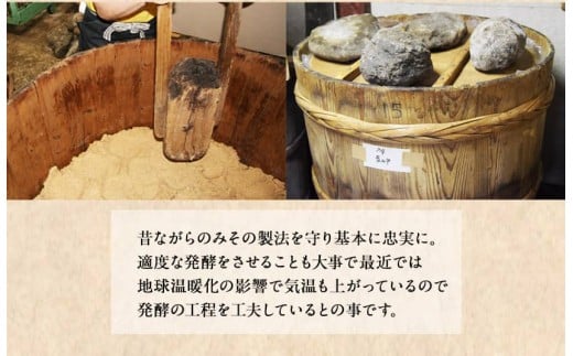 「田河東洋男商店」 ふるさと しょうゆと簡単味噌汁ギフトセット 《14日以内に出荷予定(土日祝除く)》 熊本県氷川町産---sh_tagawagift_z_21_13000---