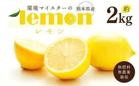 環境マイスターのレモン 2kg（無肥料／栽培期間中農薬を減らして栽培）【2025年11月上旬～2026年6月下旬発送予定】レモン 檸檬 れもん 果物 くだもの フルーツ ビタミン 酸味 果汁 果実 柑橘 レモネード レモンサワー 国産 熊本県産 水俣市産