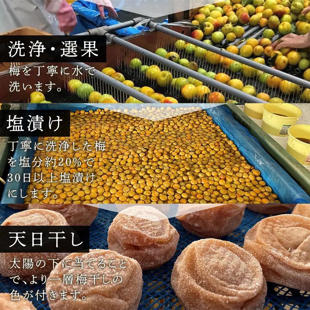 紀州南高梅使用 2種食べ比べ はちみつ うす塩味 完熟梅干し・しそ仕込み完熟梅干し 無選別 各約800g ［TM213］
