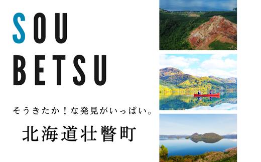 【令和7年産米】新山米（ななつぼし）5kg×2袋　10kg SBTC007