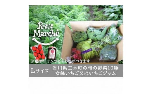 プチマルシェお野菜ボックス(Ｌ)　季節の野菜10種＆女峰苺又はジャム　≪　IDOMALL　セレクト≫_mk048-005