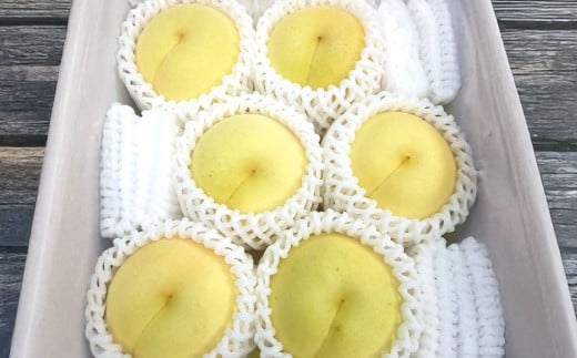 岡山県産冬桃がたり6個入り