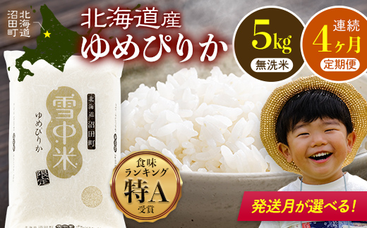 
                  令和8年産 【定期便4ヶ月】  特Aランク米 ゆめぴりか 無洗米  5kg（5kg×1袋）【発送月が選べる】雪冷気 籾貯蔵 雪中米 北海道 nr-1798var
                