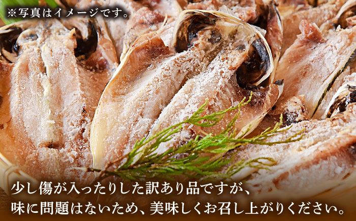 【訳あり】あじの開き（3枚×3袋）《壱岐市》【壱岐美食企画】[JBU024] アジ 鯵 ひもの 干物 魚 海鮮 魚介 和食 [JBU024]