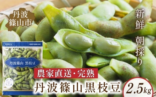 丹波黒枝豆 さや  丹波篠山産 完熟枝豆 2.5kg 500g×5袋 農家直送 小分け 数量 選べる【季節限定 おつまみ 枝豆 えだまめ 黒豆 ご当地グルメ 特産品】
