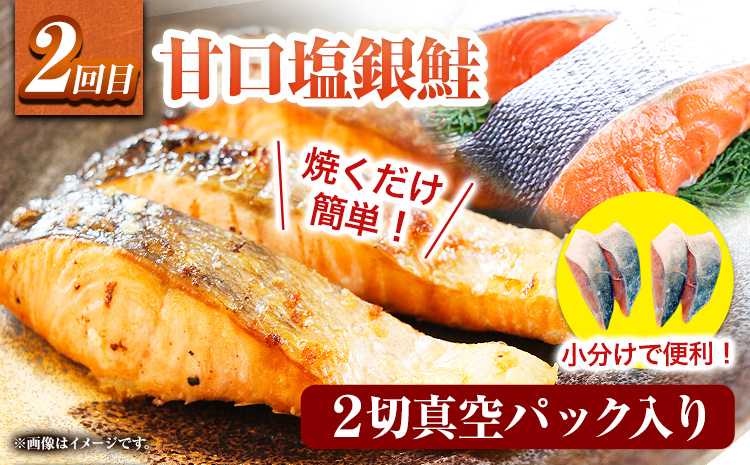 【定期便 全3回】 G サバフィレ 8枚 銀鮭切身 8枚 魚切り身詰合せ 8枚 株式会社魚鶴商店《お申し込み月の翌月より出荷開始》 和歌山県 日高町 鮭 さけ 紅さけ 切り身 さば 塩さば 焼き魚 焼