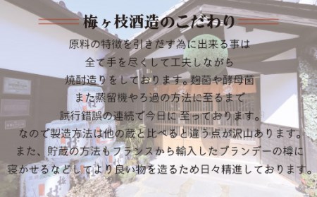 純米吟醸･吟醸酒･純米酒 日本酒一升瓶3本