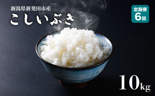 【定期便】 令和7年産 新潟産こしいぶき 10㎏×6か月 新潟県 新潟産 新潟米 新発田産 新発田 お米 米 こしいぶき とんとん市場 せいだ 5kg 10kg 60kg 2袋 6か月 半年 定期便 数量限定 玄米 とんとん市場のお米 D57_04
