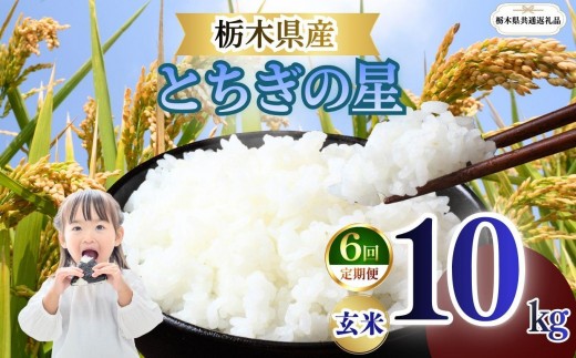 
                  【定期便6回】栃木県産 とちぎの星 玄米 10kg 2026年 先行予約 | 栃木県 矢板市
                
