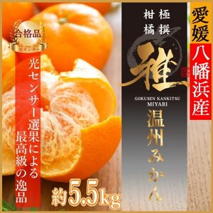 極撰柑橘“雅”光センサー合格品「八幡浜温州みかん」約5.5キロ 【D39-54】【配送不可地域：離島】【1491404】