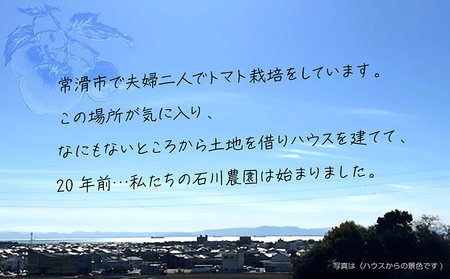【先行予約】【2025年3月から順次発送】尾州常滑フルーツトマト トマト フルーツトマト リコピン 新鮮野菜 太陽の恵み 濃厚 完熟 トマト料理 トマト鍋 愛知県産 国産 お取り寄せ グルメ 愛知県 
