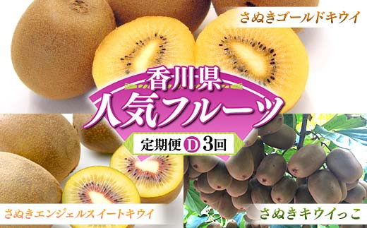 【人気フルーツ定期便D 3回】 《さぬきゴールドキウイからスタート》 さぬきゴールドキウイ 約1kg さぬきキウイっこ 約1kg さぬきエンジェルSキウイ 約1kg キウイ キウイフルーツ 旬 果物 国産 香川県 フルーツ定期便 F5J-885