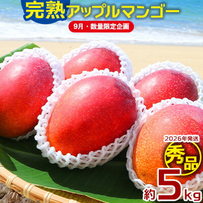 【ふるさと納税】【9月・数量限定企画】【2026年発送】大ボリューム完熟アップルマンゴー秀品・約5kg農園から直送！ 秀品 先行予約 沖縄 甘味 糖度 濃厚 美味しい お土産 おいしい ギフト とろける甘さ 香り アーウィン 果汁 高級 箱入り 化粧箱入り 見た目 きれい 綺麗