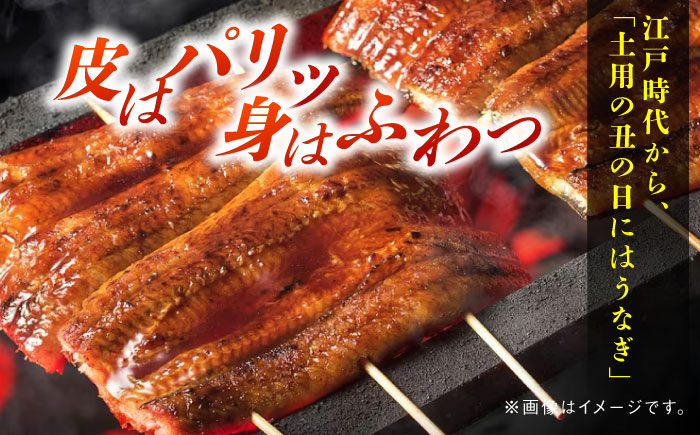 ＜諫早淡水＞うなぎ蒲焼10尾 / うなぎ ウナギ 鰻 蒲焼き 蒲焼 丑の日 土用の丑の日 国産 冷凍 小分け うな重 うな丼 ひつまぶし / 諫早市 / 活うなぎ問屋 諫早淡水 [AHAT003]