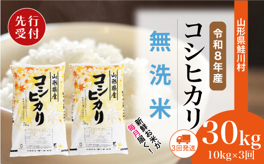 ＜令和8年産米先行受付＞ 令和9年2月下旬より配送開始 こしひかり【無洗米】30kg定期便 (10kg×3回)　鮭川村