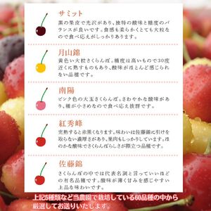 さくらんぼ 500g ×2 パック 赤黒黄ミックス 大橋さくらんぼ園 サクランボ チェリー 果物 果物類 フルーツ デザート 完熟 新鮮 美味しい 人気 北海道 芦別市