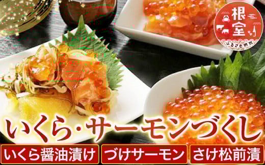 ＜鮭匠ふじい＞いくら・サーモンづくし