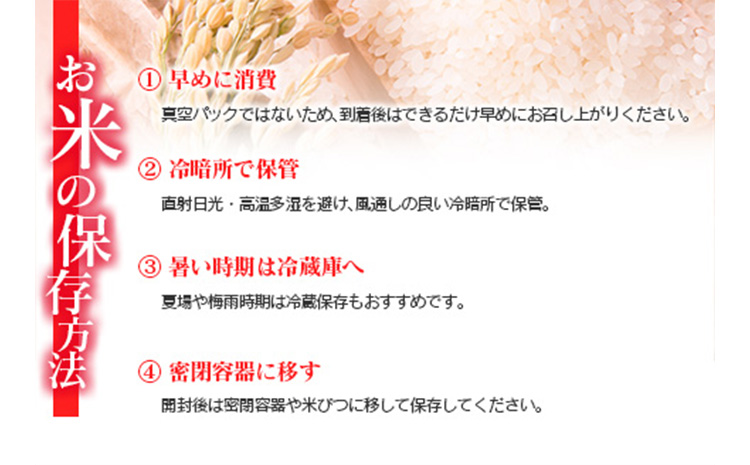 ＜訳あり＞令和７年産　新米コシヒカリ5kg 宮崎県新富町産【B679】