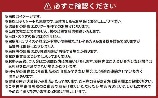 【 ご家庭用 】 岡山の黄桃 約1.3kg以上 もも 桃 モモ 黄桃 くだもの 果物 フルーツ 果実 果汁 果肉 岡山県産 旬 【 2026年8月上旬～9月上旬迄順次発送予定 】