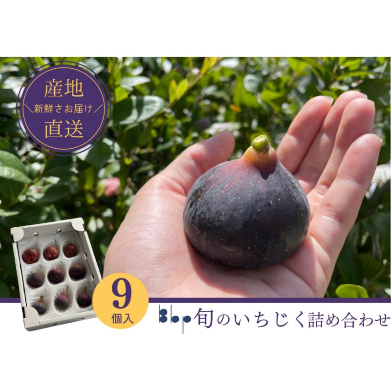 【ふるさと納税】旬のいちじく詰め合わせ　 9個入り　果物 フルーツ 国産フルーツ イチジク ビオレドーフィン ビオレソリエス 産地直送 詰合せ 食べ比べ 千葉県 成田市　お届け：2026年8月1日～2026年10月31日まで
