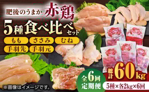 【6回定期便】肥後のうまか 赤鶏  5種食べ比べセット（モモ ささみ ムネ 手羽先 手羽元）各2kg【山内飼料 株式会社 熊本営業所】 鶏肉 銘柄鶏  ささみ ササミ 鶏肉 赤鶏 熊本県  [ZAB013]