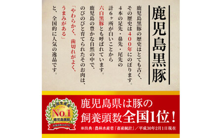 A-127 鹿児島黒豚しゃぶしゃぶ詰合せ(こだわりのスープの素・ラーメン付)国産！鹿児島県産黒豚バラ肉とスープ、ラーメン付きのしゃぶ肉詰め合わせ【九面屋】